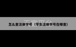 怎么查注册学号（学生注册学号在哪查）