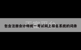 包含注册会计师统一考试网上报名系统的词条