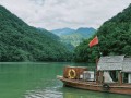 【天富平台】宠物服装