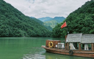 【天富平台】宠物服装