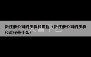 新注册公司的步骤和流程（新注册公司的步骤和流程是什么）