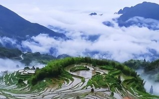 《天富注册》丹麦民族服装