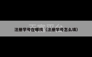 注册学号在哪找（注册学号怎么填）