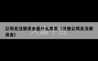 公司无注册资金是什么意思（注册公司无注册资金）