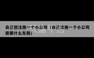 自己想注册一个小公司（自己注册一个小公司需要什么东西）