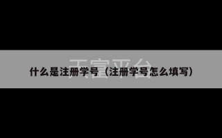 什么是注册学号（注册学号怎么填写）