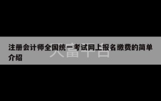 注册会计师全国统一考试网上报名缴费的简单介绍