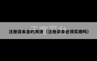 注册资本金的用途（注册资金必须实缴吗）