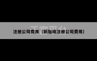 注册公司费用（新加坡注册公司费用）
