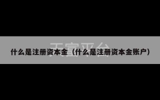 什么是注册资本金（什么是注册资本金账户）