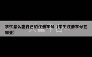 学生怎么查自己的注册学号（学生注册学号在哪查）