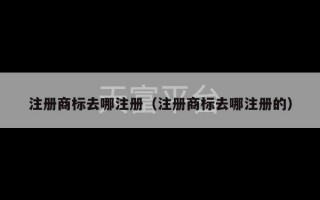 注册商标去哪注册（注册商标去哪注册的）