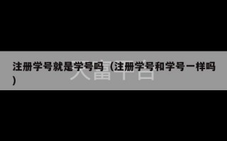 注册学号就是学号吗（注册学号和学号一样吗）