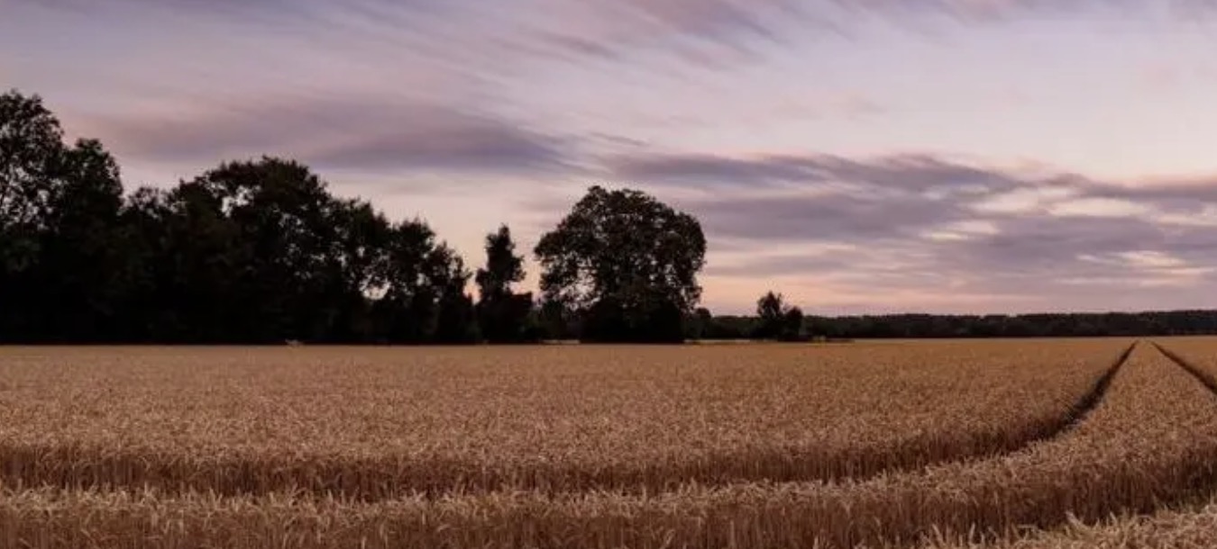 《天富注册》服装压褶厂-第1张图片-天富注册【会员登录平台】天富服装 《天富注册》服装压褶厂-第1张图片-天富注册【会员登录平台】天富服装