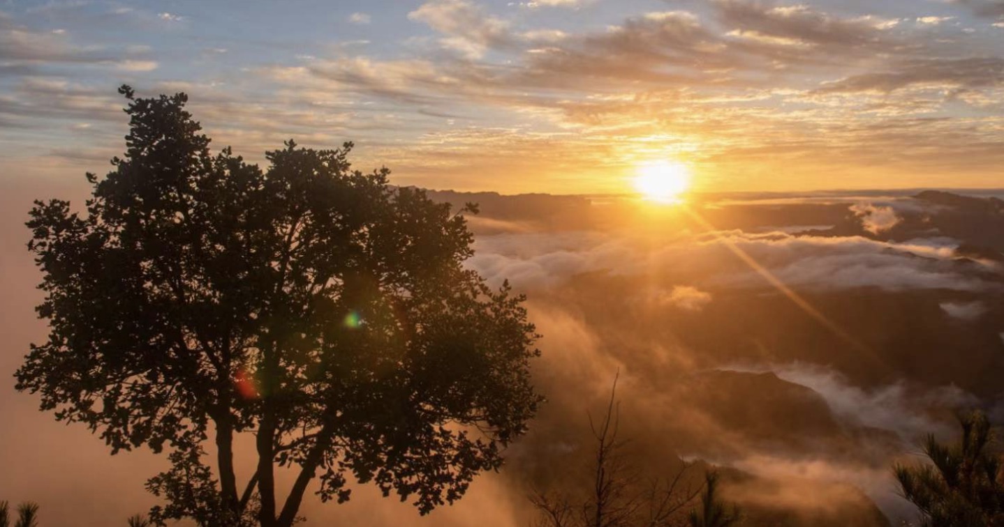 《天富注册》服装压褶厂-第3张图片-天富注册【会员登录平台】天富服装 《天富注册》服装压褶厂-第3张图片-天富注册【会员登录平台】天富服装