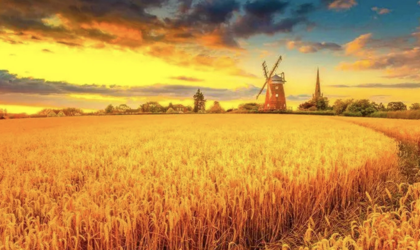 【天富注册】环保服装名字大全-第5张图片-天富注册【会员登录平台】天富服装 【天富注册】环保服装名字大全-第5张图片-天富注册【会员登录平台】天富服装