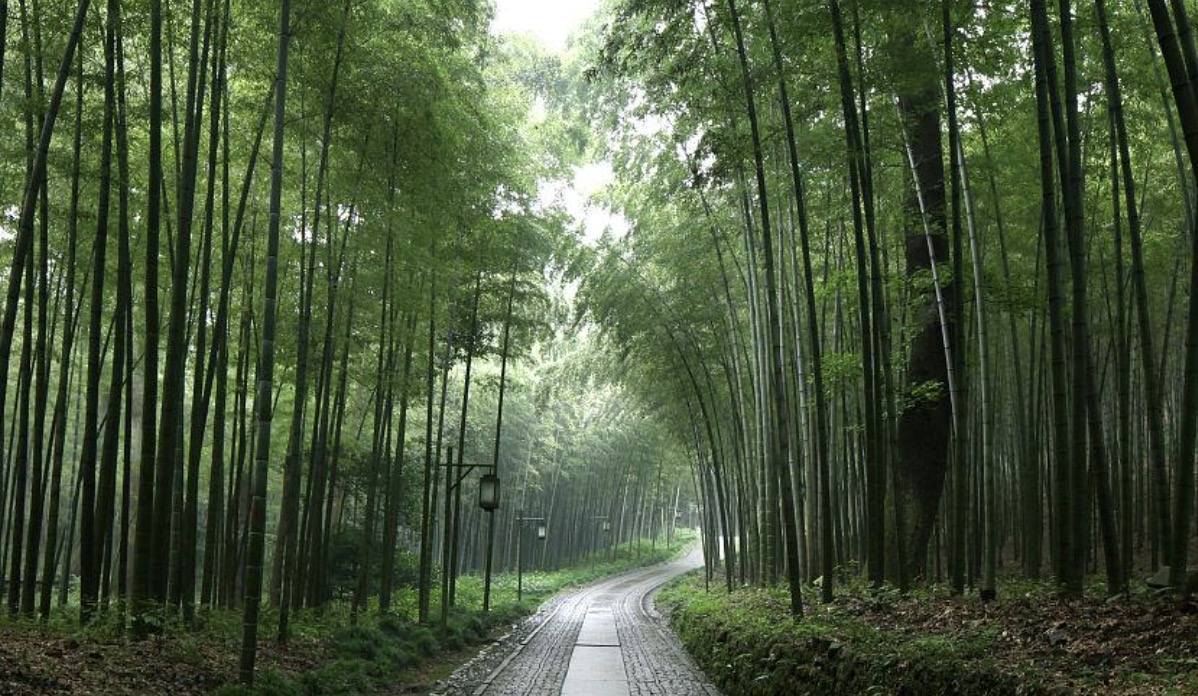 法国ESMOD国际服装设计学院【天富注册】-第4张图片-天富注册【会员登录平台】天富服装 法国ESMOD国际服装设计学院【天富注册】-第4张图片-天富注册【会员登录平台】天富服装