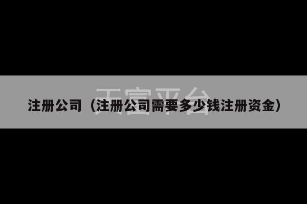 注册公司（注册公司需要多少钱注册资金）-第1张图片-天富注册【会员登录平台】天富服装