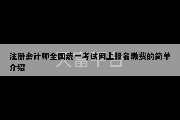 注册会计师全国统一考试网上报名缴费的简单介绍-第1张图片-天富注册【会员登录平台】天富服装